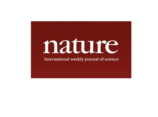 NIL Technology (NILT) in Nature with meta-optics research